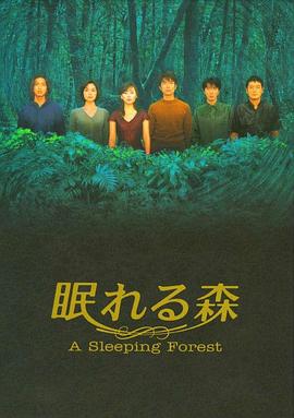 少年叶飞鸿之龙城争霸